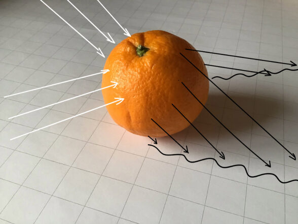 indirektes Licht auf einer Orange