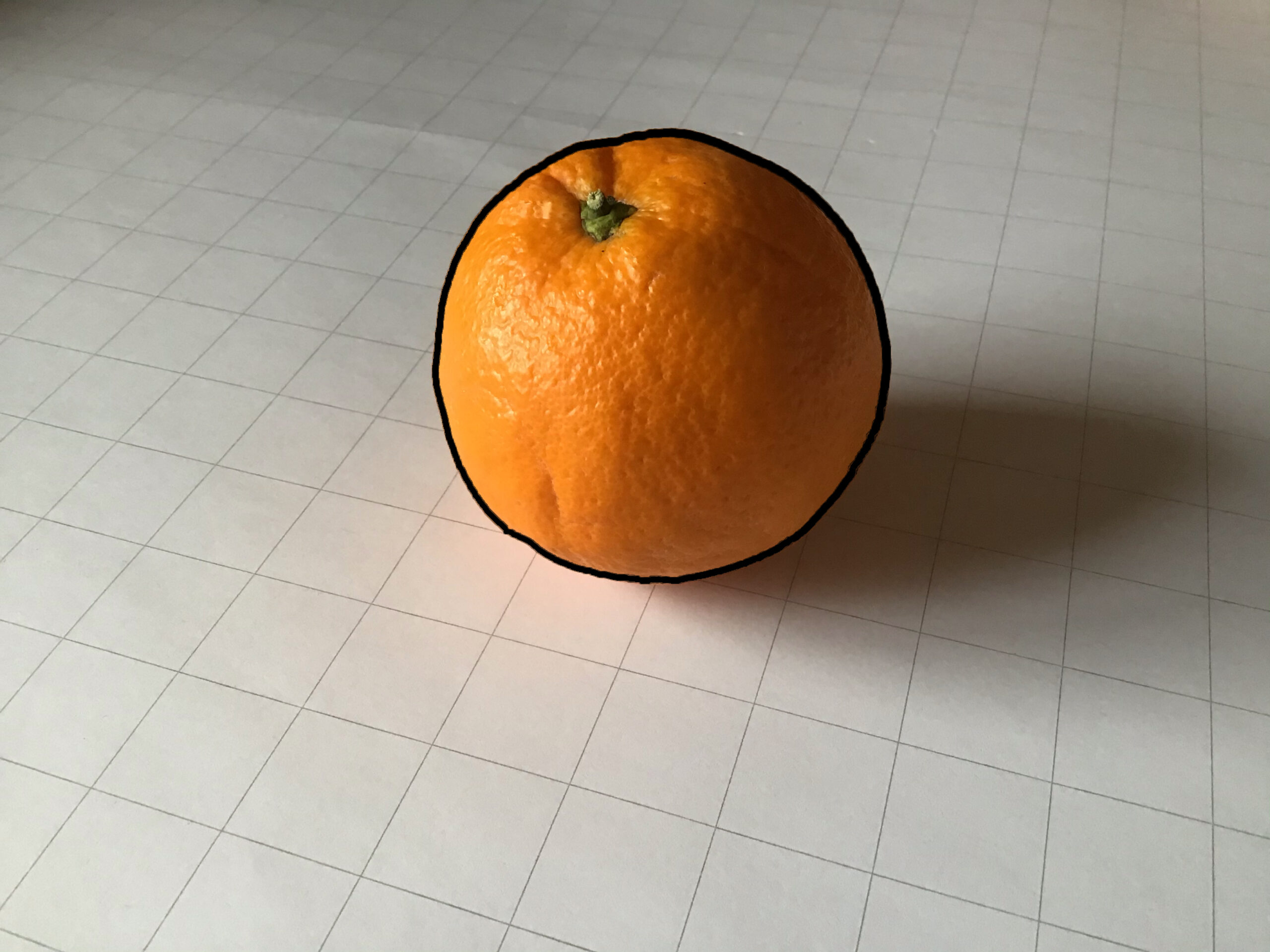 Die Kontur der Orange
