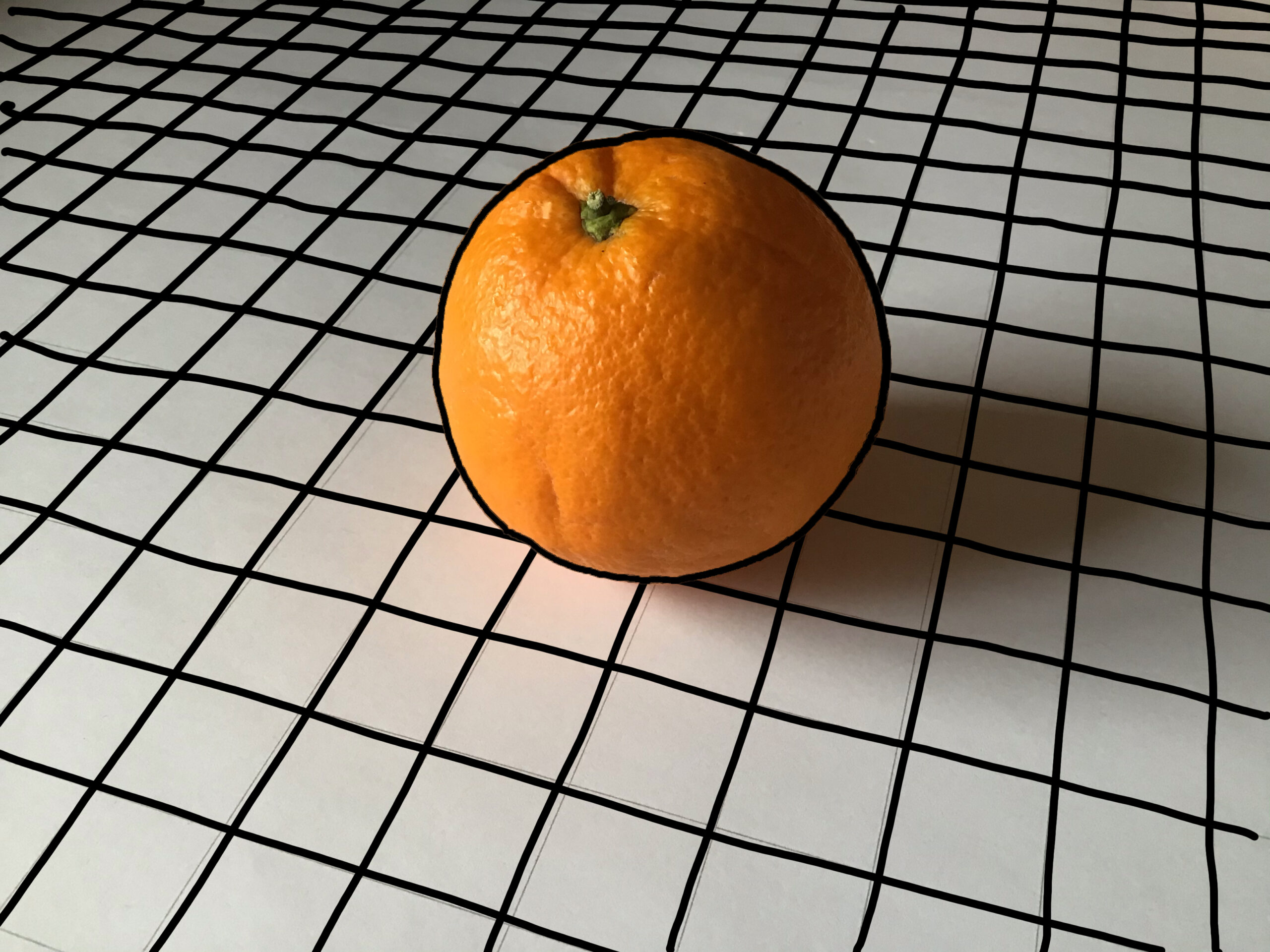 Das perspektivische Umfeld der Orange 