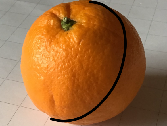 Die Trennlinie zwischen heller und dunkler Seite der Orange